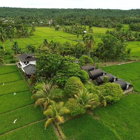 Gino'S Place - Guest House & Jungle Trekking Букит Лаванг Екстериор снимка